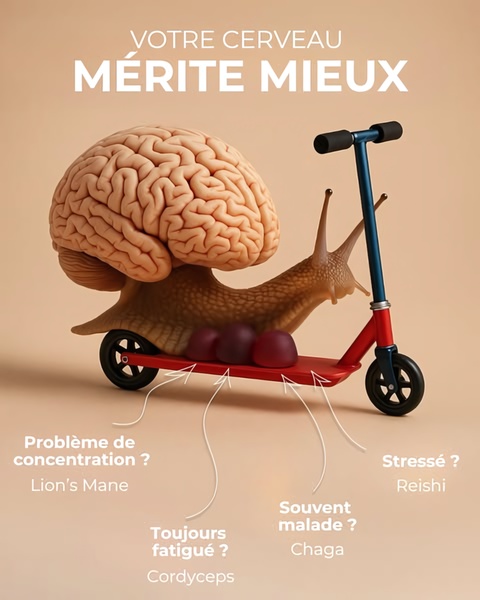 A creative featuring a human brain shell on a snail riding a red scooter, visually mapping specific symptoms like fatigue and stress to different gummy varieties.